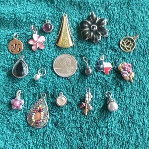 Elegant Mixed Charm Set